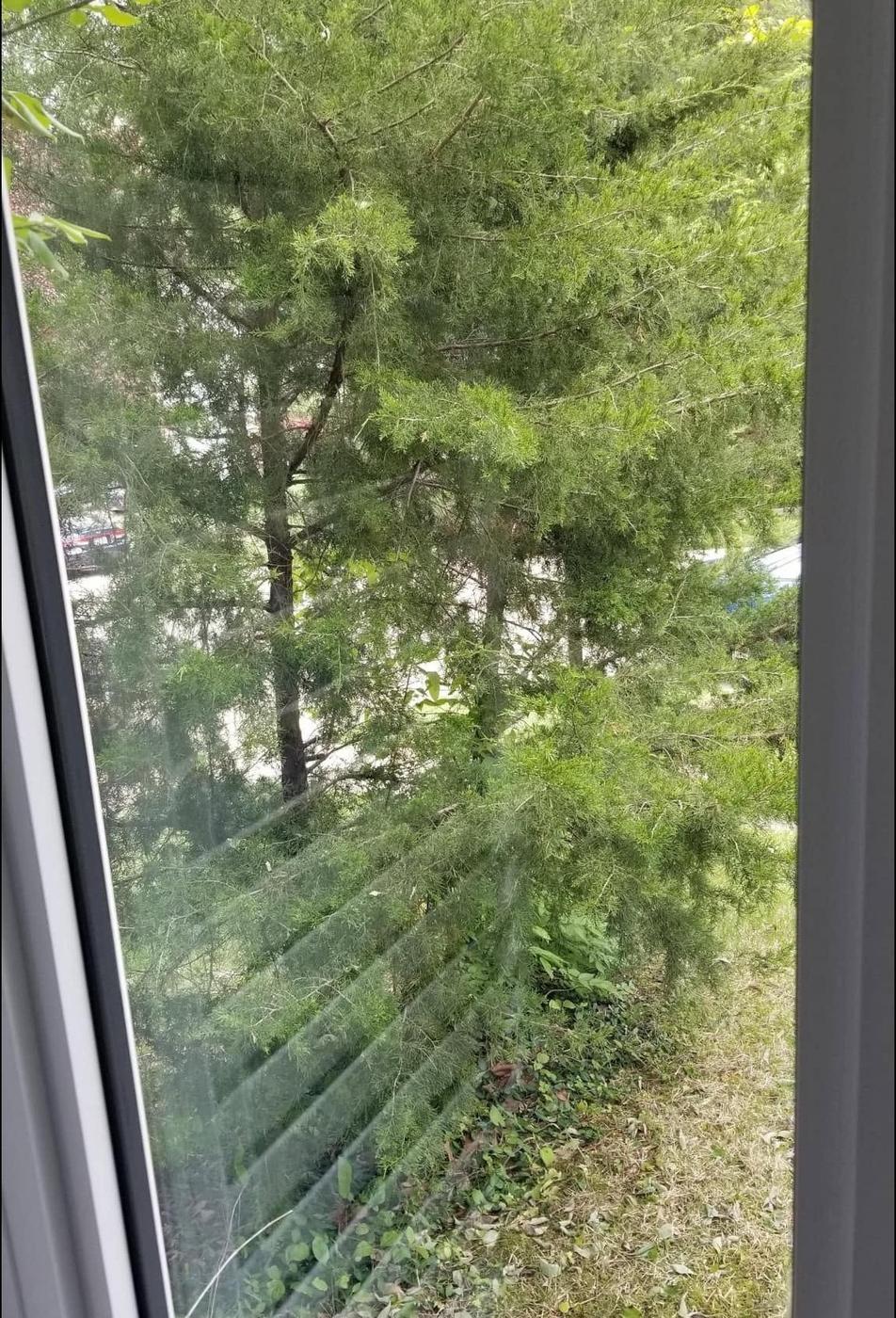 Tall window, from inside, after we cleaned it